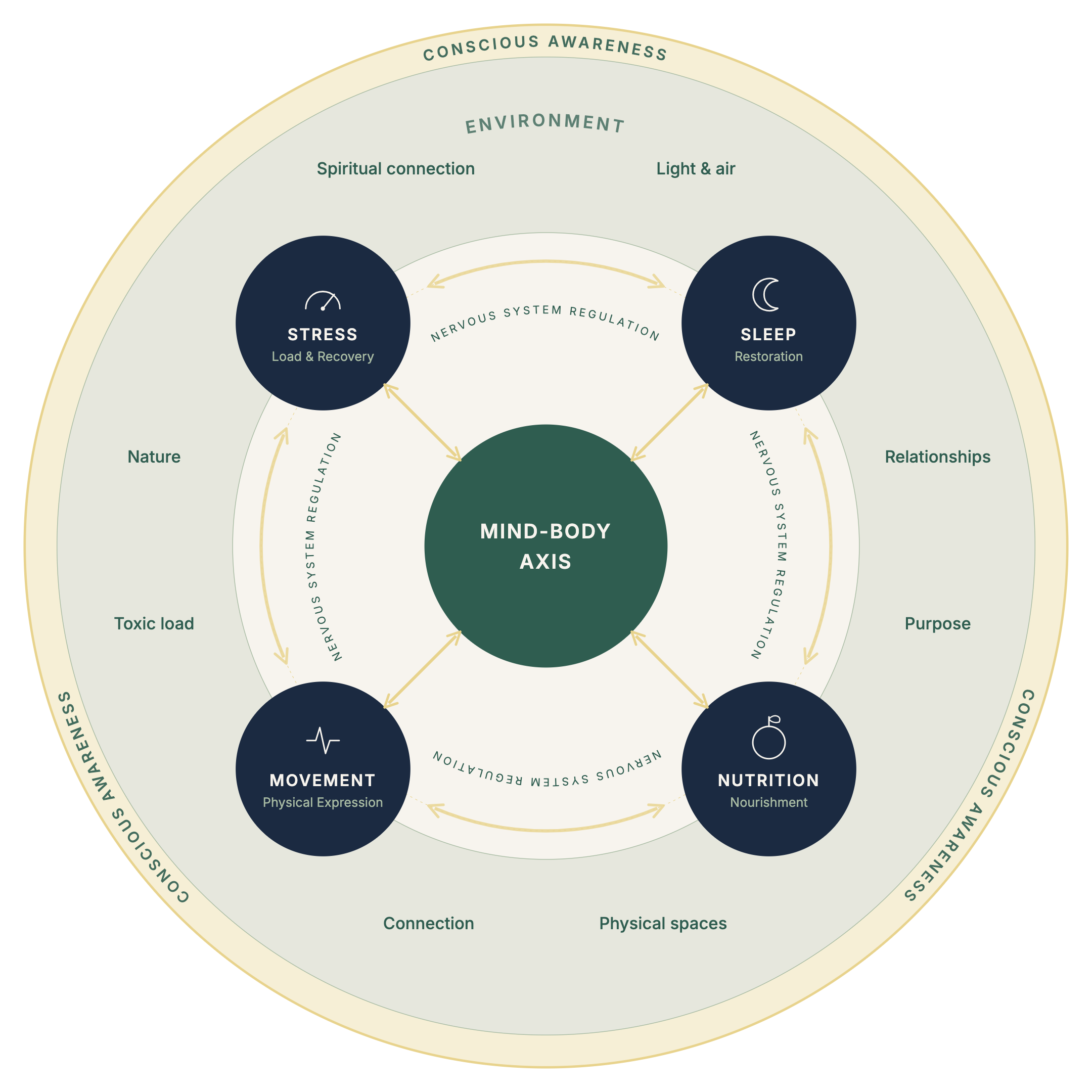 The Healthy Humans Framework™: concentric rings of conscious awareness and environment surrounding four entry points (stress, sleep, movement and nutrition), each linked by nervous system regulation to a central mind-body axis.